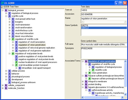 Screenshot of the CL-GODB GUI